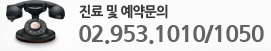 02-953-1010